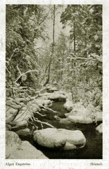 Algot Engström bild i Fotografisk Revy 1917